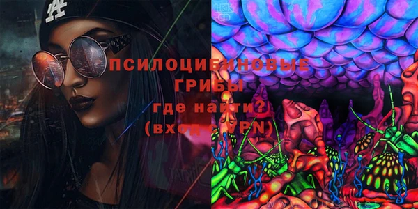 прущие крисы Кукмор