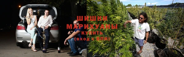 каннабис Куйбышев